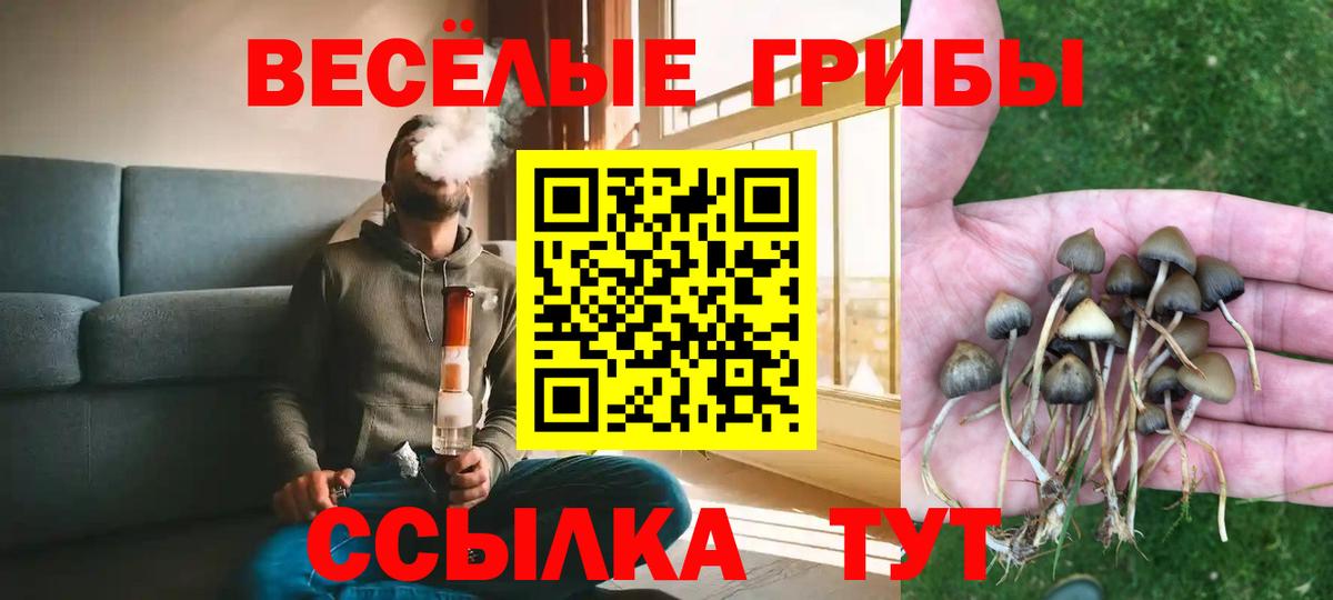 Киров  Псилоцибиновые грибы мухоморы  Вход с VPN 