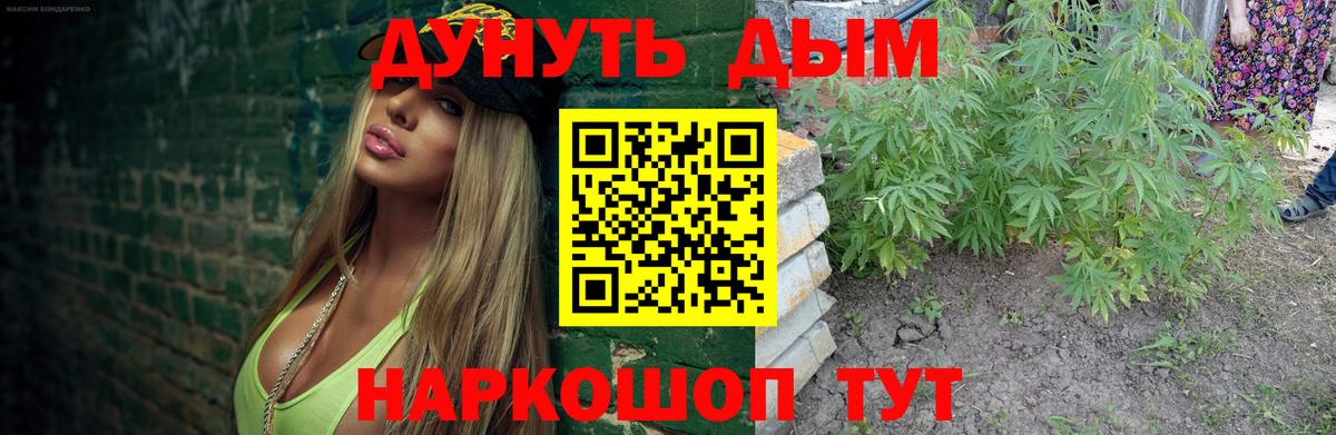 Бошки Шишки марихуана Киров